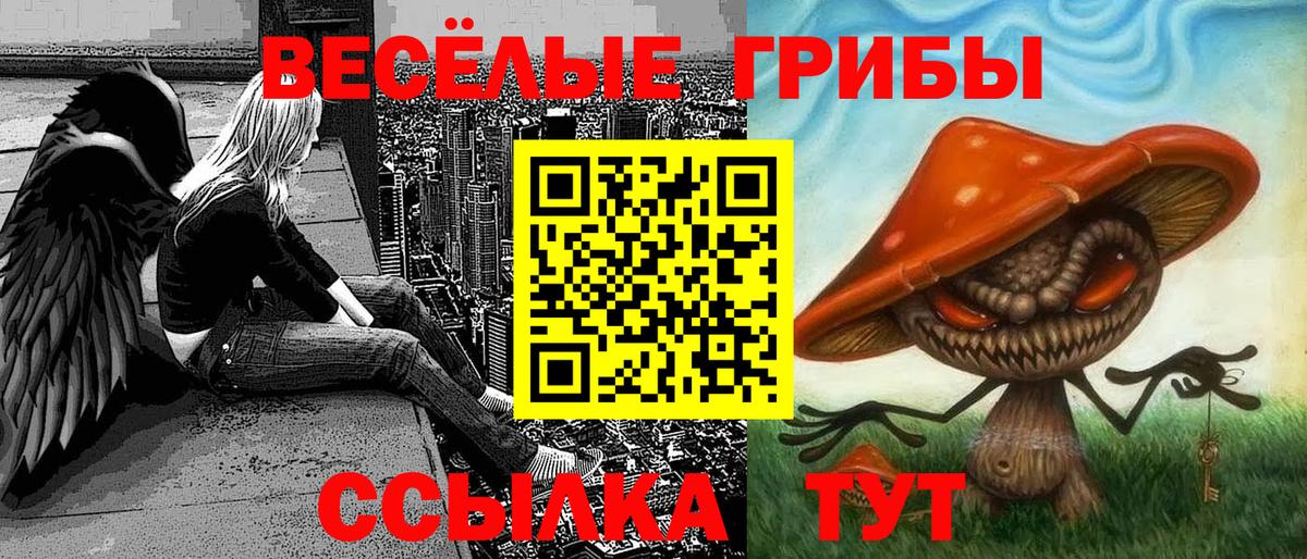 Псилоцибиновые грибы GOLDEN TEACHER Красноярск